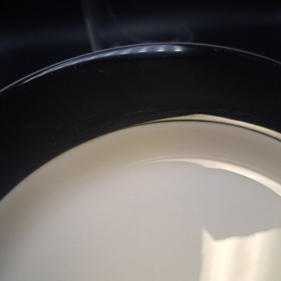 Syracuse China Syralite Black Rim Band Dinner Plate 10-3/4 Inches Stoneware - Picture 5 of 12